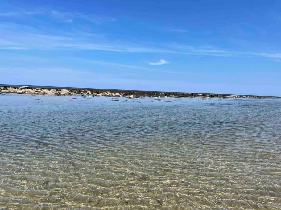 Kelvinside, Seahouses, 2 Minute Walk Into Village Εξωτερικό φωτογραφία
