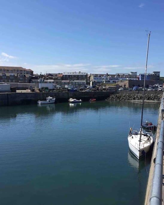 Kelvinside, Seahouses, 2 Minute Walk Into Village Εξωτερικό φωτογραφία